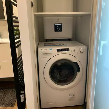 La Rose Tremiere * Parentis-en-Born