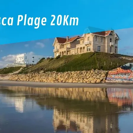 La Rose Trémière Parentis-en-Born